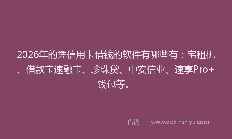 2026年的凭信用卡借钱的软件有哪些有：宅租机、借款宝速融宝、珍珠贷、中安信业、速享Pro+钱包等。