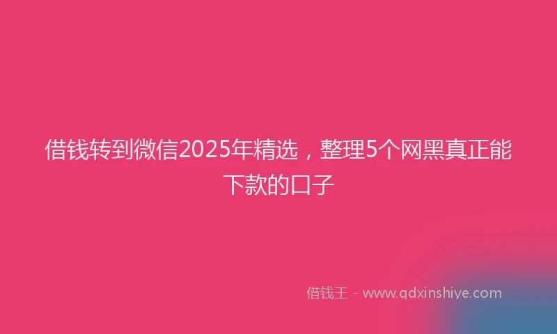 借钱转到微信2025年精选，整理5个网黑真正能下款的口子