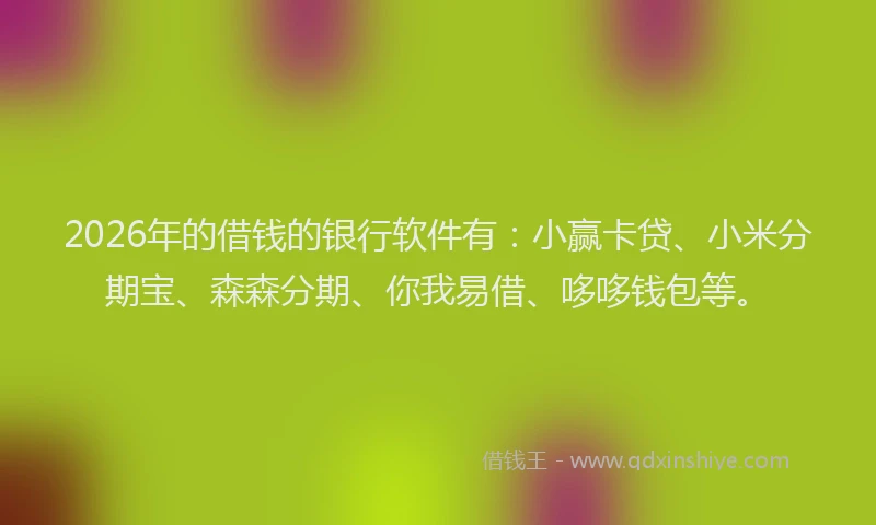 2026年的借钱的银行软件有：小赢卡贷、小米分期宝、森森分期、你我易借、哆哆钱包等。