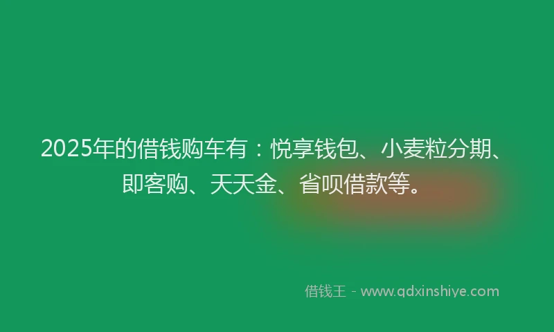 2025年的借钱购车有:悦享钱包、小麦粒分期、即客购、天天金、省呗借款等。