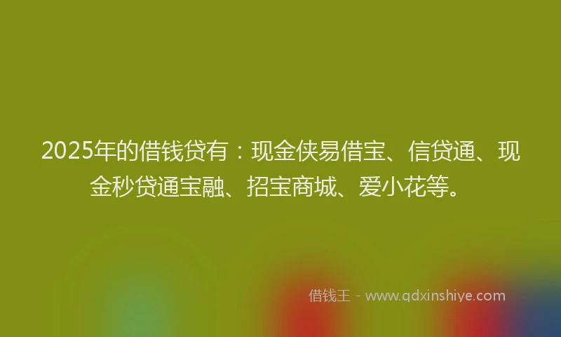 2025年的借钱贷有：现金侠易借宝、信贷通、现金秒贷通宝融、招宝商城、爱小花等。