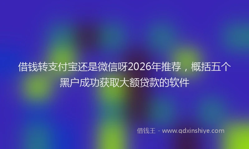 借钱转支付宝还是微信呀2026年推荐，概括五个黑户成功获取大额贷款的软件