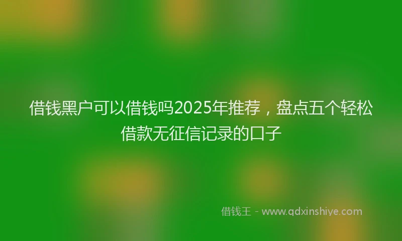 借钱黑户可以借钱吗2025年推荐，盘点五个轻松借款无征信记录的口子