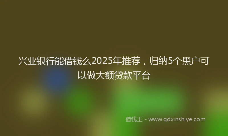 兴业银行能借钱么2025年推荐，归纳5个黑户可以做大额贷款平台