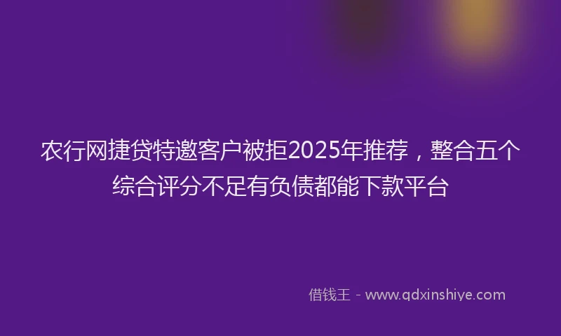农行网捷贷特邀客户被拒2025年推荐,整合五个综合评分不足有负债都能下款平台