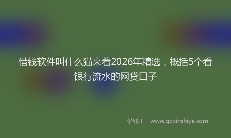 借钱软件叫什么猫来着2026年精选，概括5个看银行流水的网贷口子