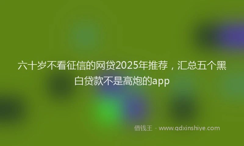 六十岁不看征信的网贷2025年推荐,汇总五个黑白贷款不是高炮的app