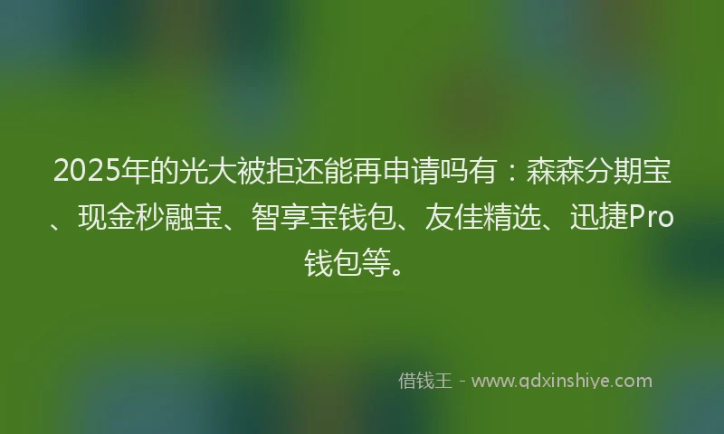 2025年的光大被拒还能再申请吗有：森森分期宝、现金秒融宝、智享宝钱包、友佳精选、迅捷Pro钱包等。