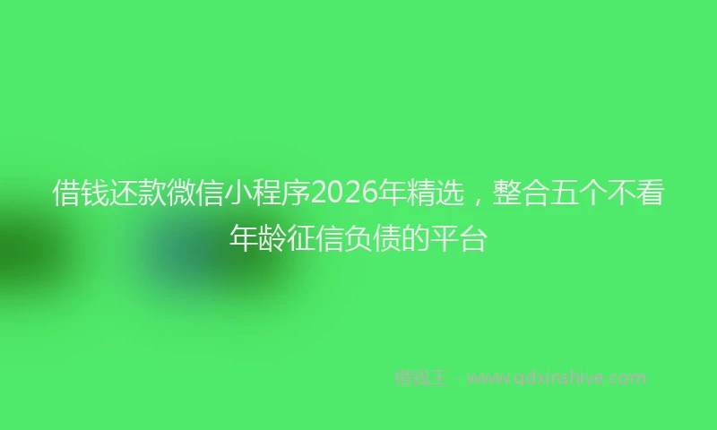 借钱还款微信小程序2026年精选，整合五个不看年龄征信负债的平台