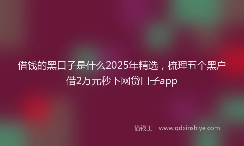借钱的黑口子是什么2025年精选，梳理五个黑户借2万元秒下网贷口子app