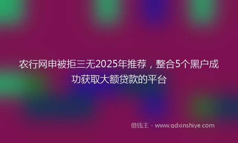 农行网申被拒三无2025年推荐，整合5个黑户成功获取大额贷款的平台