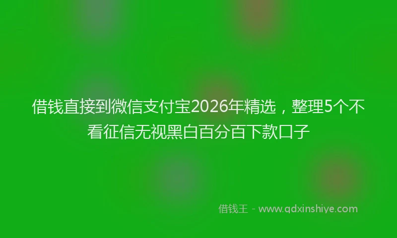 借钱直接到微信支付宝2026年精选，整理5个不看征信无视黑白百分百下款口子