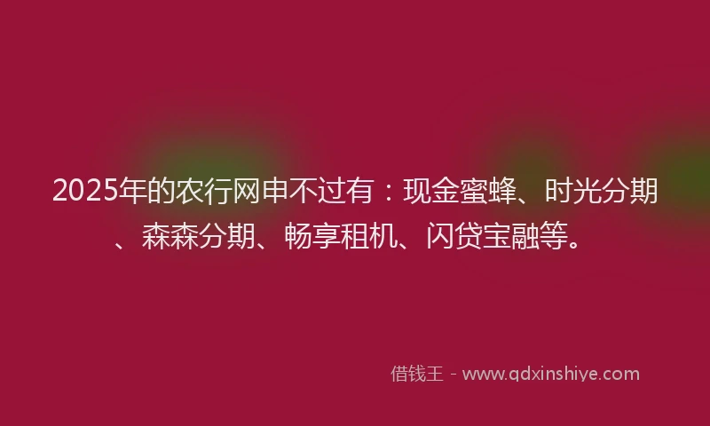 2025年的农行网申不过有：现金蜜蜂、时光分期、森森分期、畅享租机、闪贷宝融等。