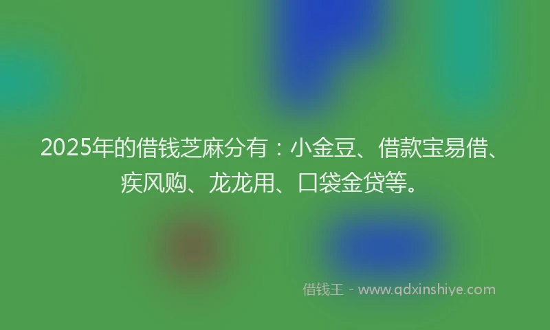 2025年的借钱芝麻分有：小金豆、借款宝易借、疾风购、龙龙用、口袋金贷等。
