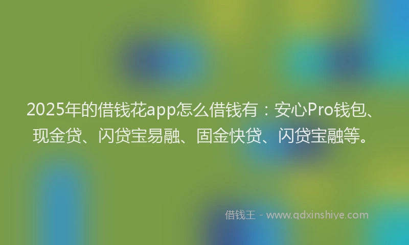 2025年的借钱花app怎么借钱有：安心Pro钱包、现金贷、闪贷宝易融、固金快贷、闪贷宝融等。