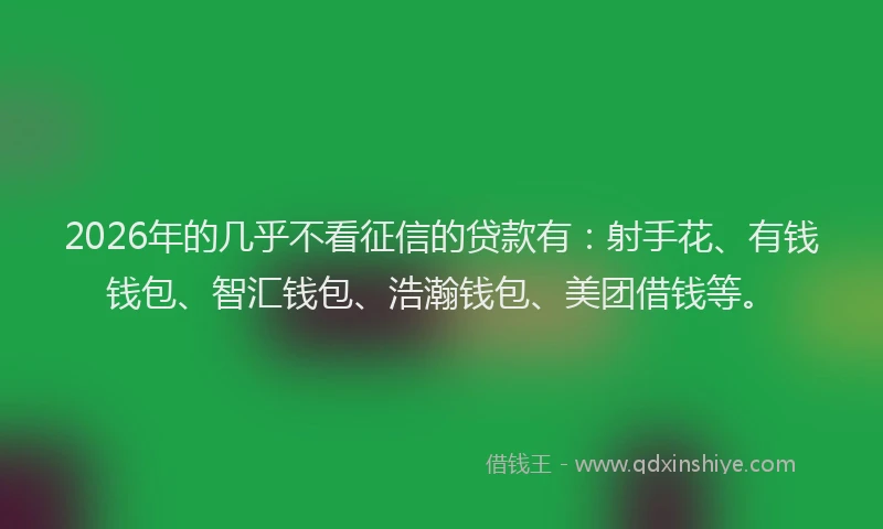 2026年的几乎不看征信的贷款有：射手花、有钱钱包、智汇钱包、浩瀚钱包、美团借钱等。