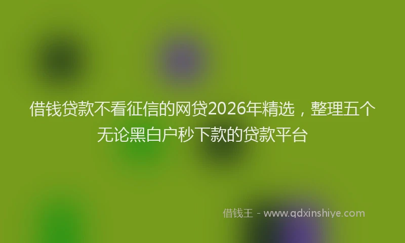 借钱贷款不看征信的网贷2026年精选,整理五个无论黑白户秒下款的贷款平台