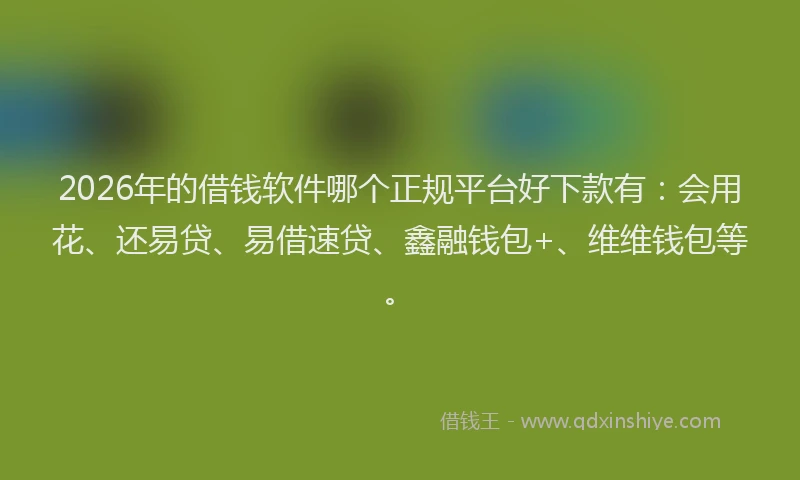 2026年的借钱软件哪个正规平台好下款有:会用花、还易贷、易借速贷、鑫融钱包+、维维钱包等。
