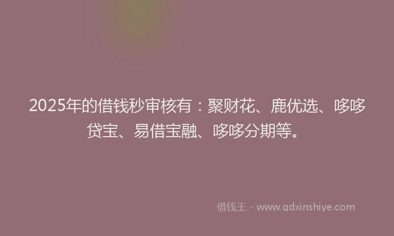 2025年的借钱秒审核有：聚财花、鹿优选、哆哆贷宝、易借宝融、哆哆分期等。