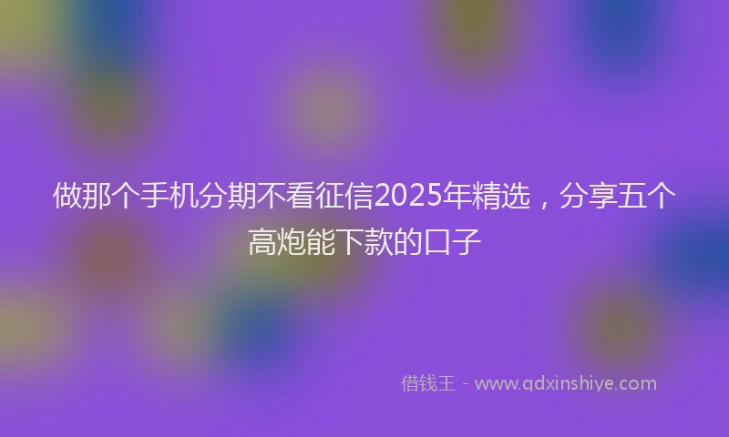 做那个手机分期不看征信2025年精选，分享五个高炮能下款的口子
