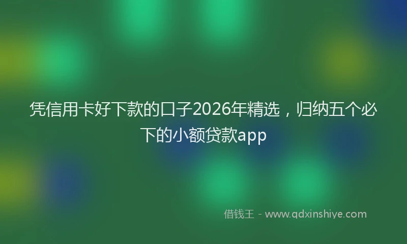 凭信用卡好下款的口子2026年精选,归纳五个必下的小额贷款app