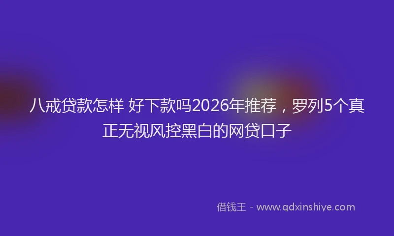 八戒贷款怎样 好下款吗2026年推荐，罗列5个真正无视风控黑白的网贷口子