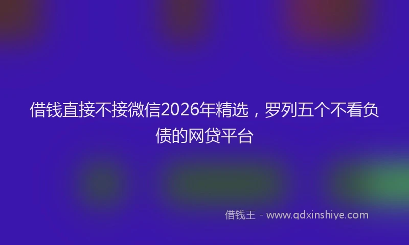 借钱直接不接微信2026年精选，罗列五个不看负债的网贷平台