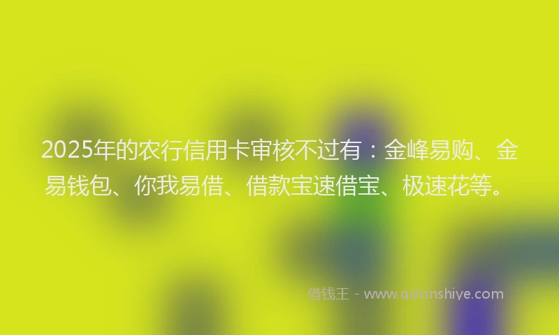 2025年的农行信用卡审核不过有:金峰易购、金易钱包、你我易借、借款宝速借宝、极速花等。