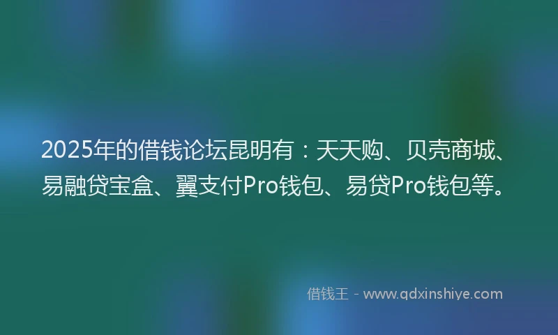2025年的借钱论坛昆明有：天天购、贝壳商城、易融贷宝盒、翼支付Pro钱包、易贷Pro钱包等。