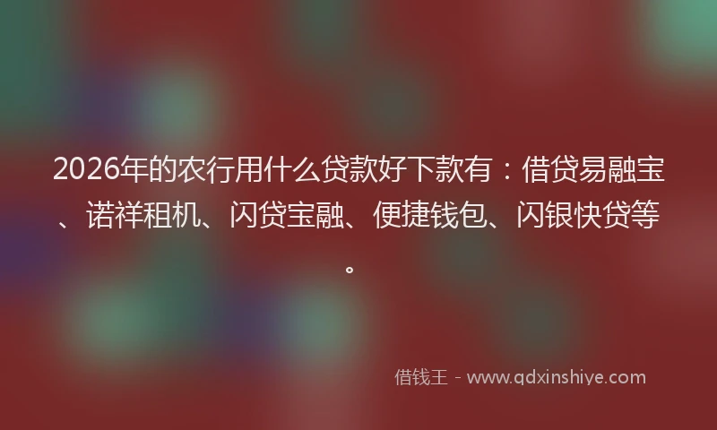 2026年的农行用什么贷款好下款有：借贷易融宝、诺祥租机、闪贷宝融、便捷钱包、闪银快贷等。