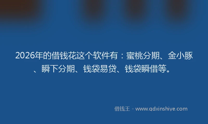 2026年的借钱花这个软件有：蜜桃分期、金小豚、瞬下分期、钱袋易贷、钱袋瞬借等。