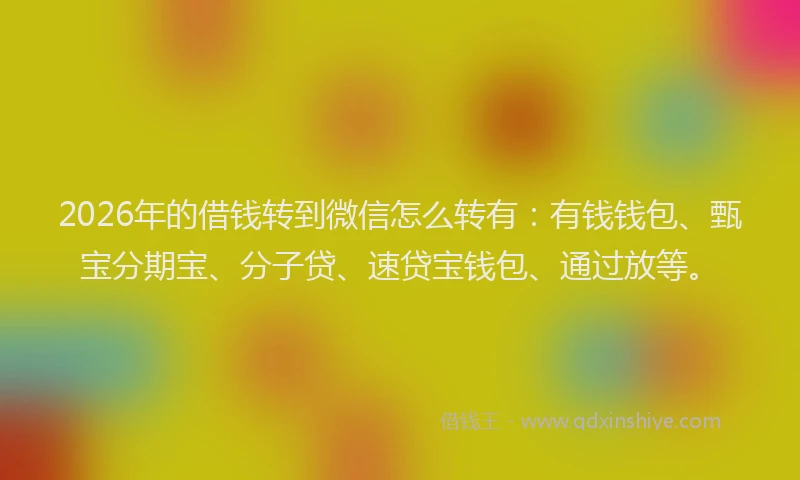 2026年的借钱转到微信怎么转有:有钱钱包、甄宝分期宝、分子贷、速贷宝钱包、通过放等。