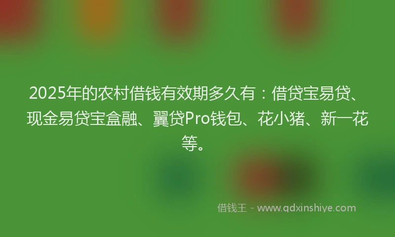 2025年的农村借钱有效期多久有：借贷宝易贷、现金易贷宝盒融、翼贷Pro钱包、花小猪、新一花等。