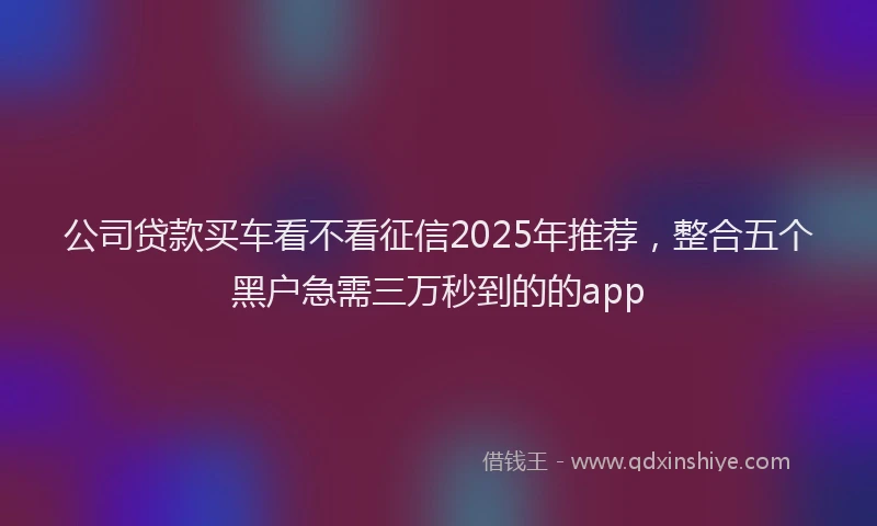 公司贷款买车看不看征信2025年推荐，整合五个黑户急需三万秒到的的app