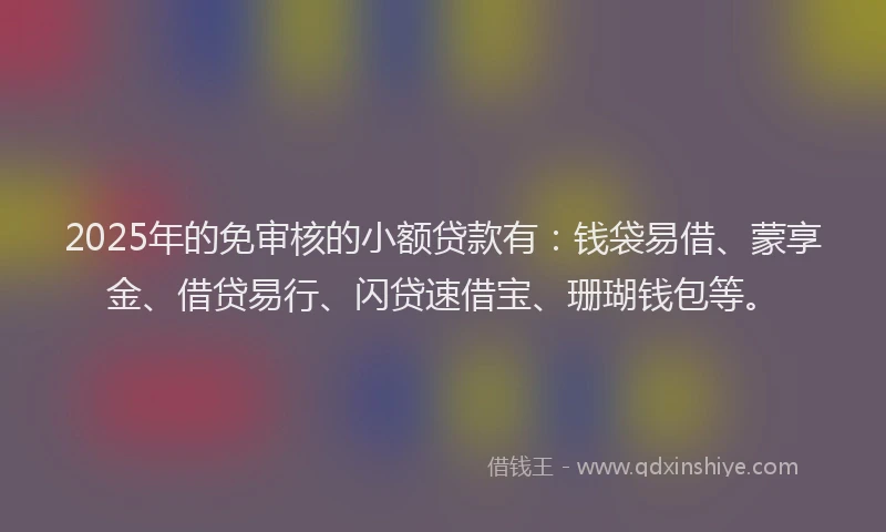 2025年的免审核的小额贷款有:钱袋易借、蒙享金、借贷易行、闪贷速借宝、珊瑚钱包等。