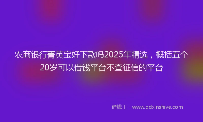 农商银行菁英宝好下款吗2025年精选,概括五个20岁可以借钱平台不查征信的平台