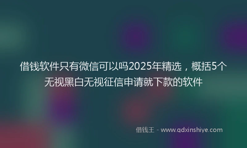 借钱软件只有微信可以吗2025年精选,概括5个无视黑白无视征信申请就下款的软件