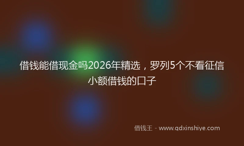 借钱能借现金吗2026年精选，罗列5个不看征信小额借钱的口子