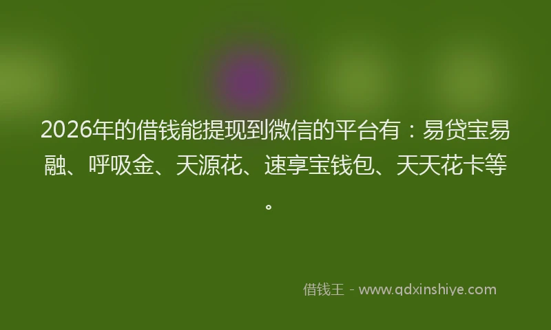 2026年的借钱能提现到微信的平台有：易贷宝易融、呼吸金、天源花、速享宝钱包、天天花卡等。