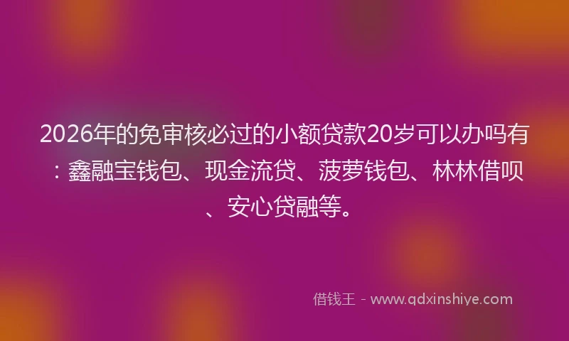2026年的免审核必过的小额贷款20岁可以办吗有：鑫融宝钱包、现金流贷、菠萝钱包、林林借呗、安心贷融等。