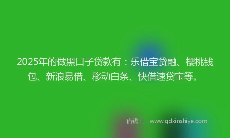 2025年的做黑口子贷款有:乐借宝贷融、樱桃钱包、新浪易借、移动白条、快借速贷宝等。