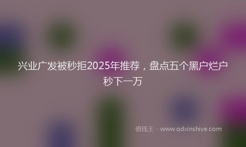 兴业广发被秒拒2025年推荐，盘点五个黑户烂户秒下一万