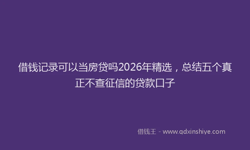 借钱记录可以当房贷吗2026年精选，总结五个真正不查征信的贷款口子