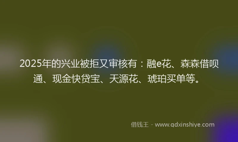 2025年的兴业被拒又审核有:融e花、森森借呗通、现金快贷宝、天源花、琥珀买单等。
