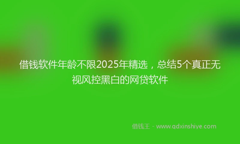 借钱软件年龄不限2025年精选，总结5个真正无视风控黑白的网贷软件