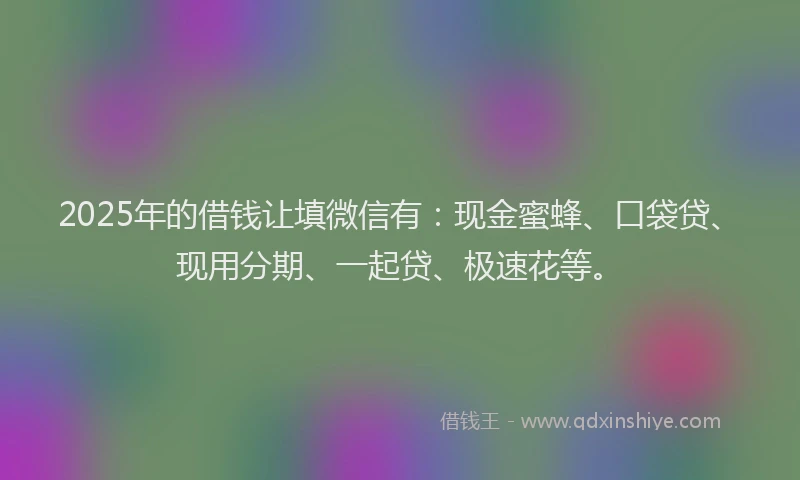2025年的借钱让填微信有：现金蜜蜂、口袋贷、现用分期、一起贷、极速花等。