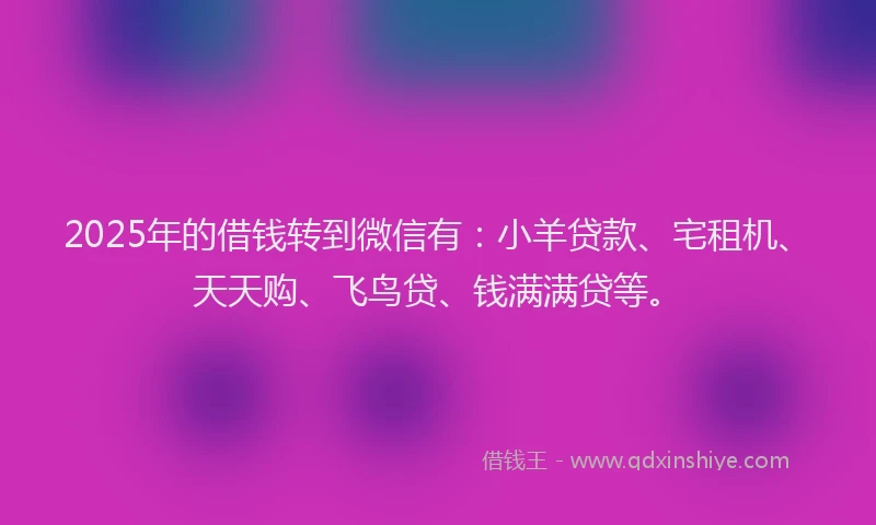 2025年的借钱转到微信有:小羊贷款、宅租机、天天购、飞鸟贷、钱满满贷等。