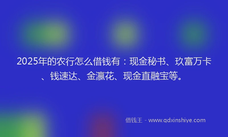 2025年的农行怎么借钱有：现金秘书、玖富万卡、钱速达、金瀛花、现金直融宝等。