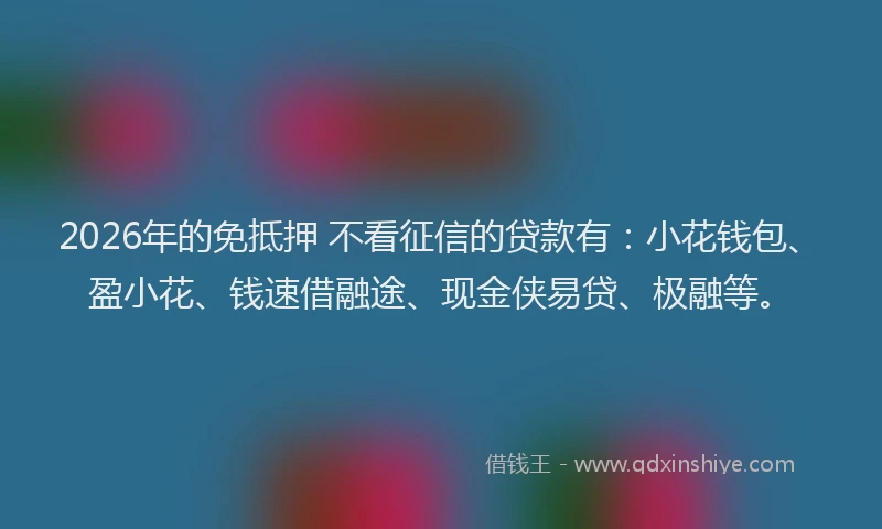 2026年的免抵押 不看征信的贷款有:小花钱包、盈小花、钱速借融途、现金侠易贷、极融等。