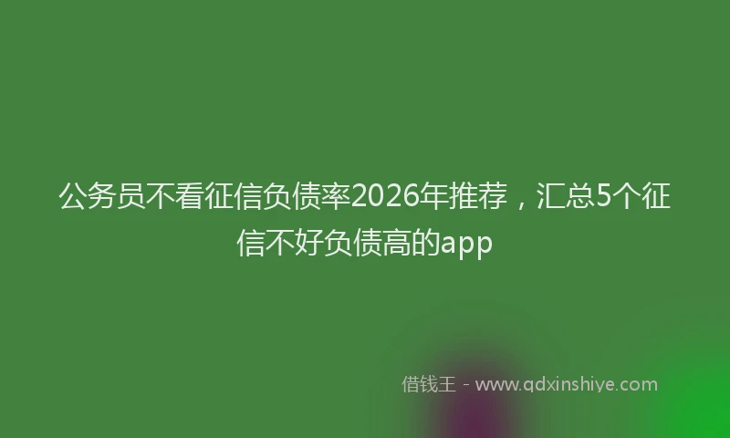 公务员不看征信负债率2026年推荐，汇总5个征信不好负债高的app